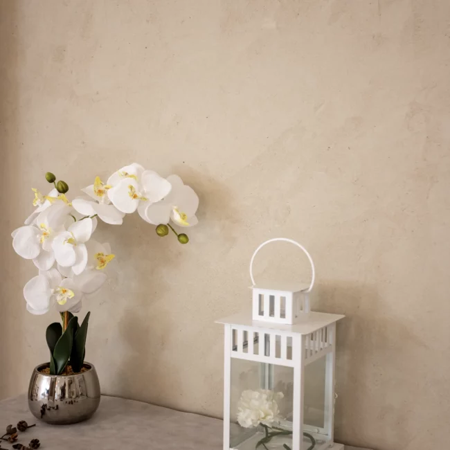 enduit-naturel-argile-chaud-terre-interieur-6