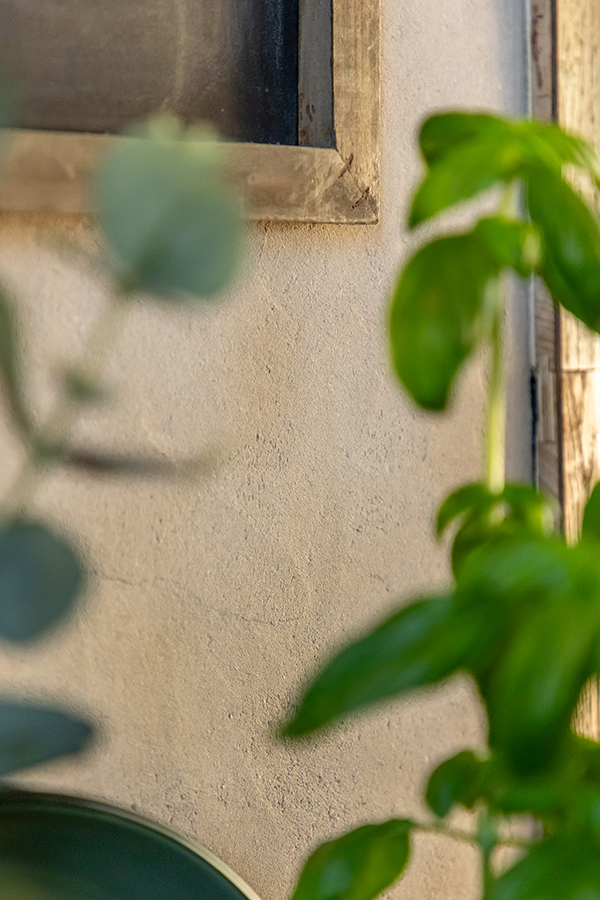 enduit-naturel-plante