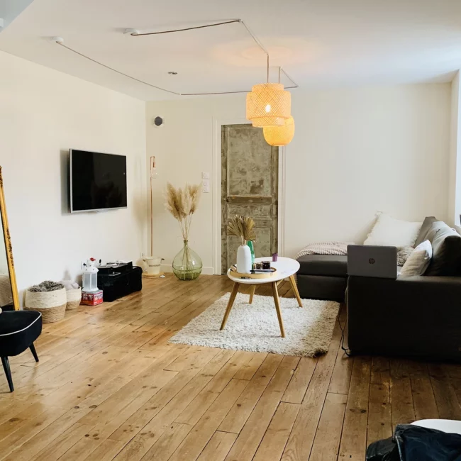 peinture-naturelle-salon-blanc-3