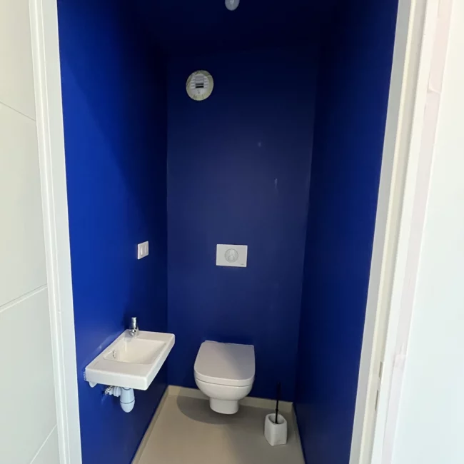 peinture-naturelle-wc