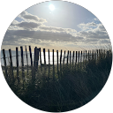 Nicole B. profile picture