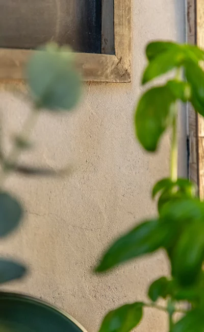 enduit-naturel-plante